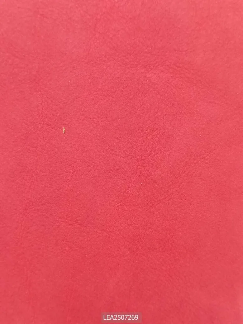 Mẫu da thật mã LEA2507269 – Tiến Phát